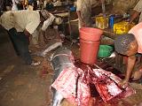 TANZANIA - Zanzibar Stone Town - Fish market - 03